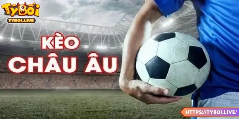 Cách phân tích và xem hiệu quả cho thành viên