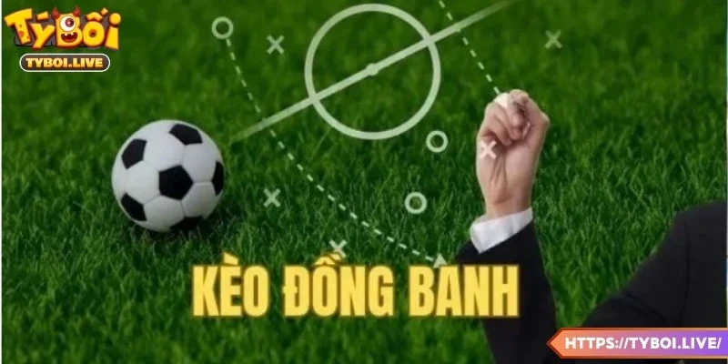 Lý do dạng này được trở nên phổ biến