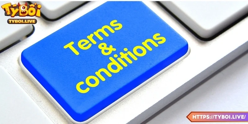 Trách nhiệm và cam kết của nền tảng dành cho người dùng